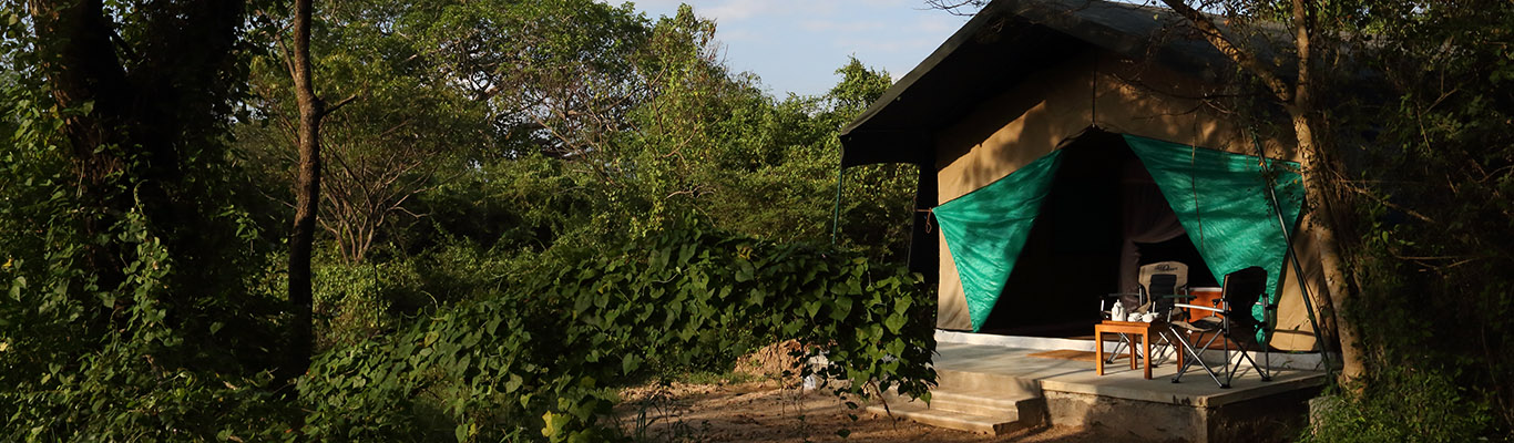 Wilpattu National Park 