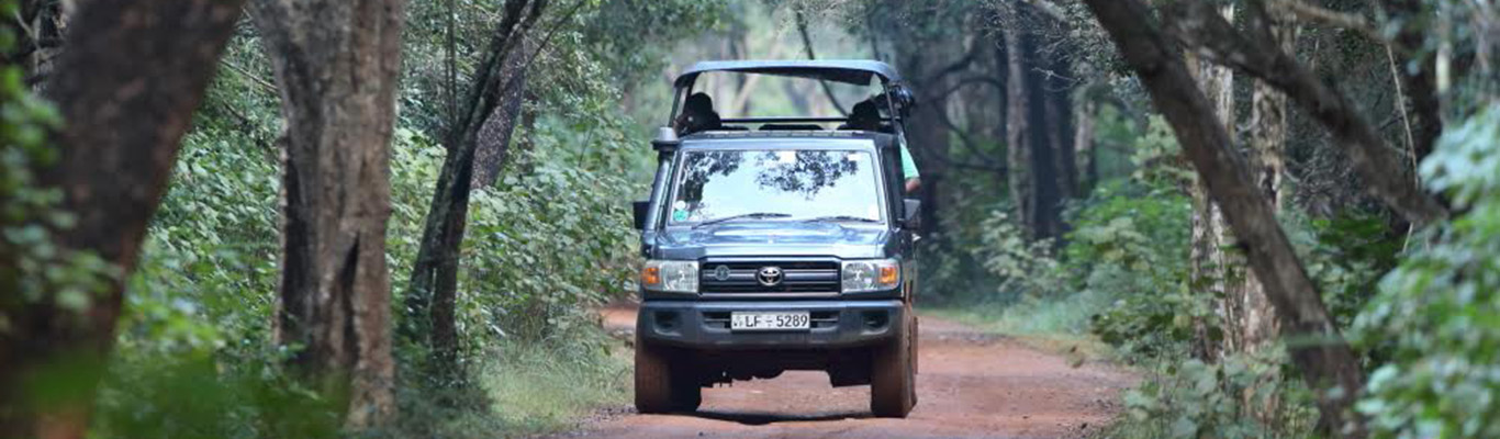 Wilpattu National Park 