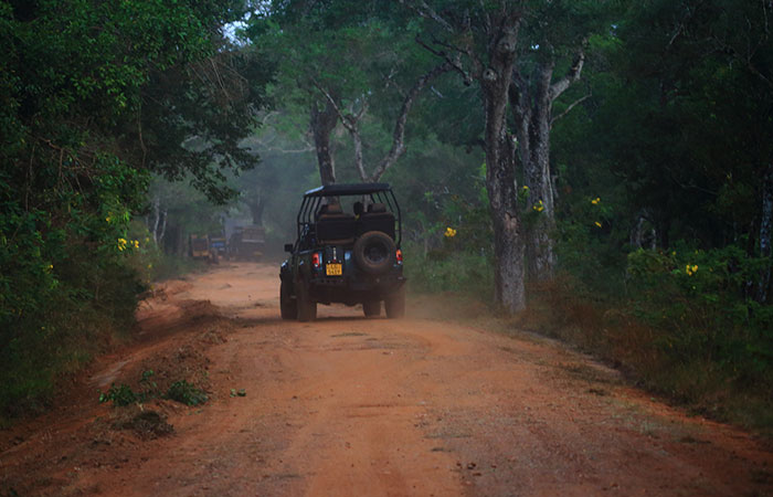 Wilpattu 1 Night and 2 Days Safari Camping		