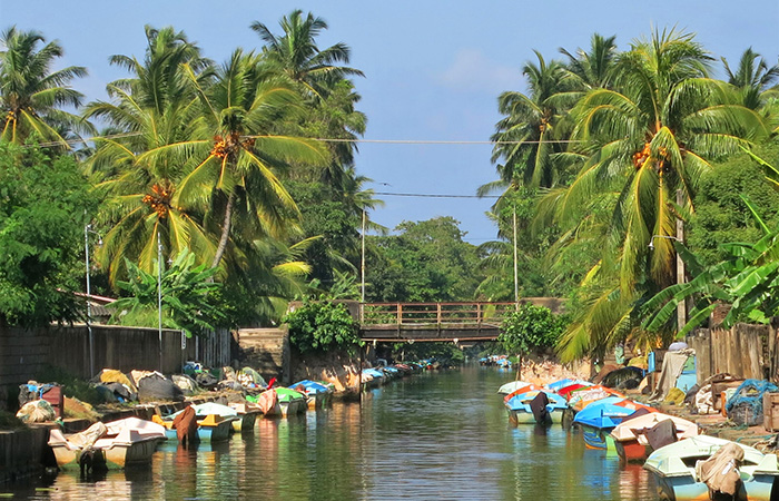 Negombo Hamilton Canal and Maha Oya River Boat Trip