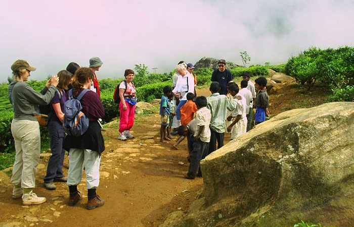 Bandrawela/Haputale Tea estate trail