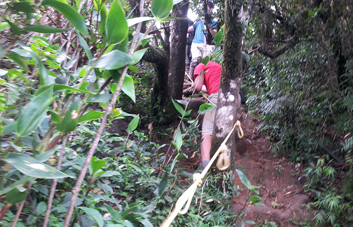 Trek in Knuckles Mountains 
