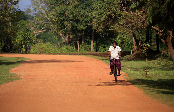Village walk in Habarana and Sigiriya