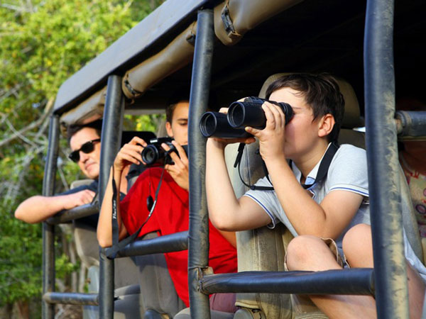 Book the afternoon jeep safari in Yala National Park