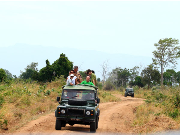 Book a safari in Udawalawe National Park