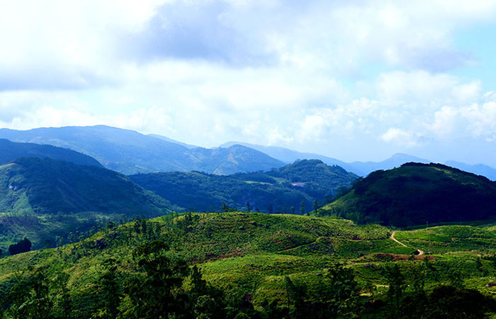Trek in Knuckles Mountains