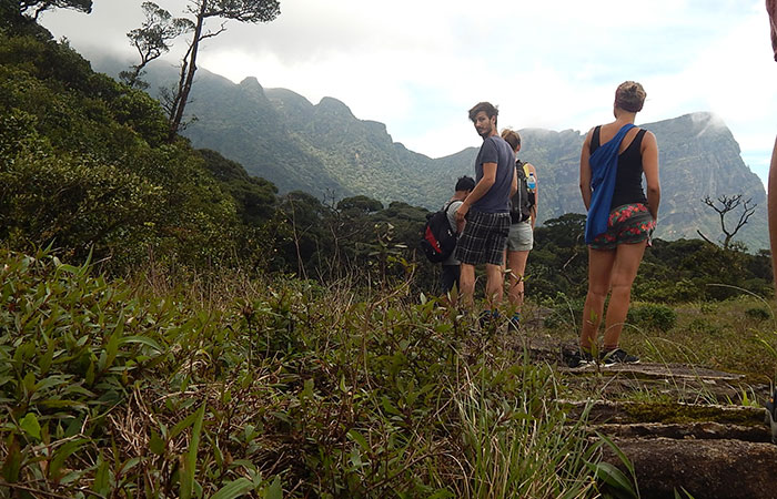 Knuckles Mountains High Peak Day Trekking Tour
