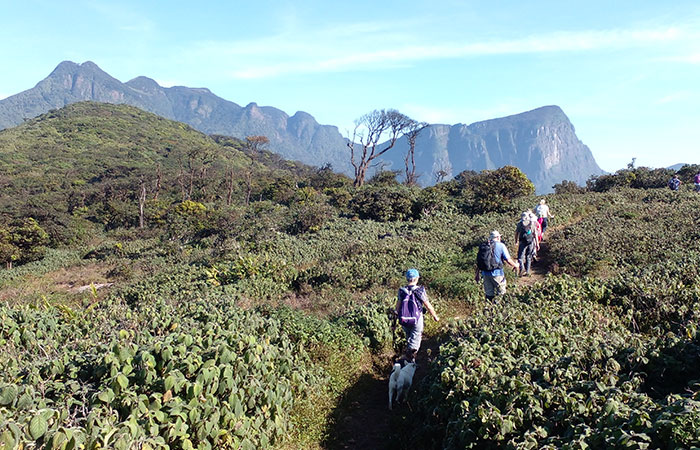 Knuckles Trekking Tour