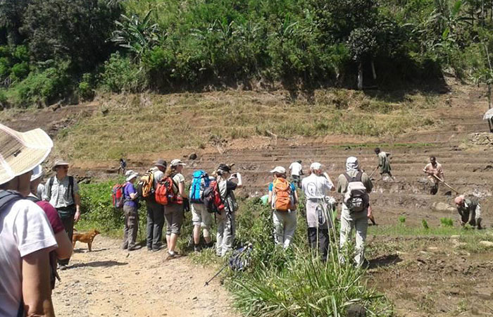 Knuckles Trekking & Veddha Village Tour