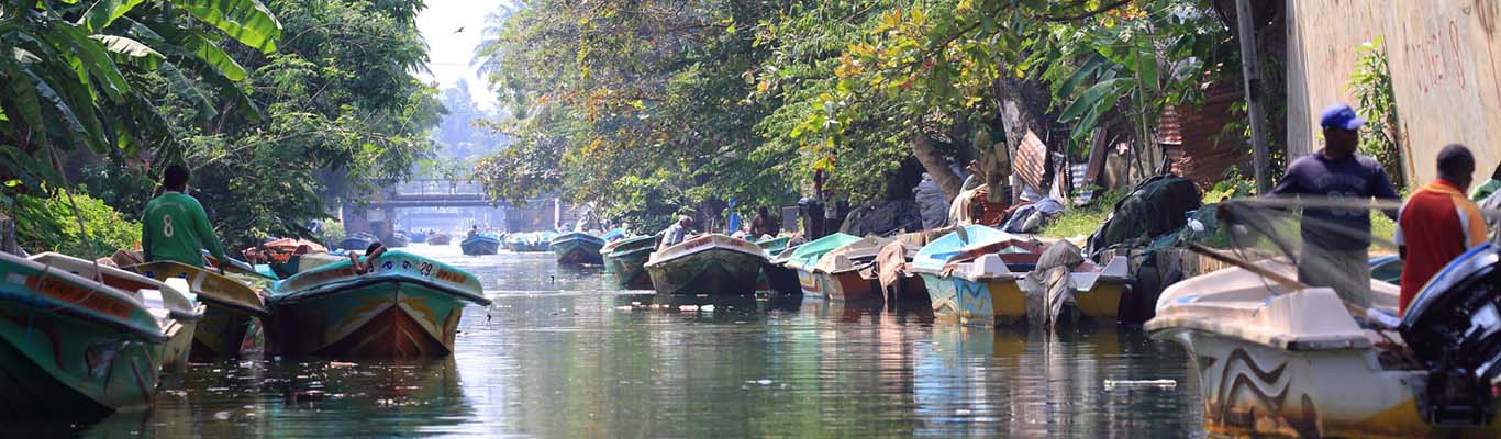 River Cruises